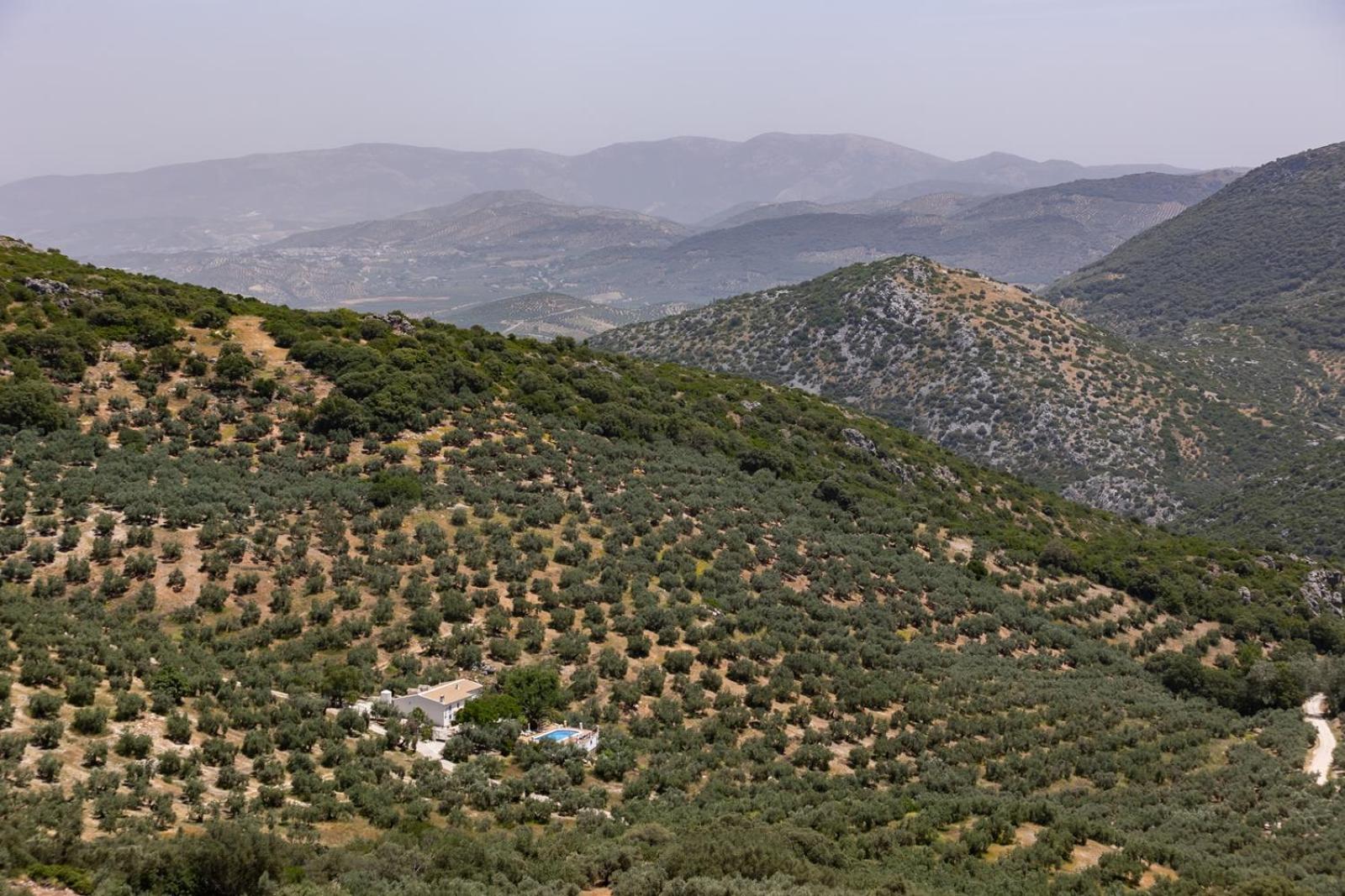 Cortijo Entresierras Carcabuey